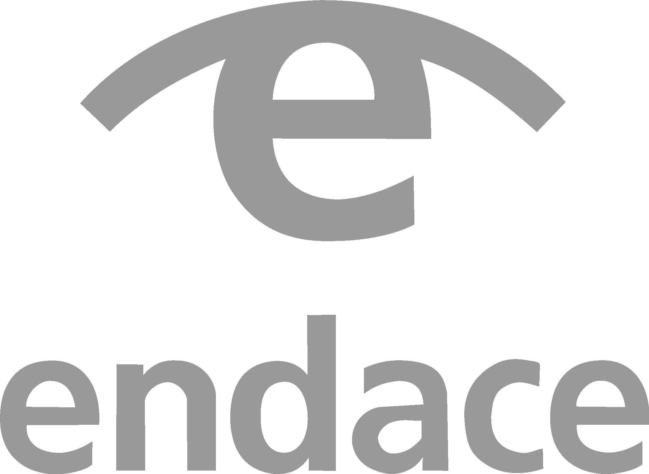 Endace Logo